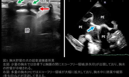 孕妇营养不良的食谱大全-妊娠期间营养不良该喝什么汤网 - 为你提供妊娠期间营养不良该喝什么汤调理、妊娠期间营养不良该喝什么汤比较好